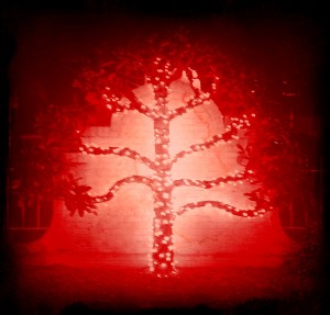 darkredtree